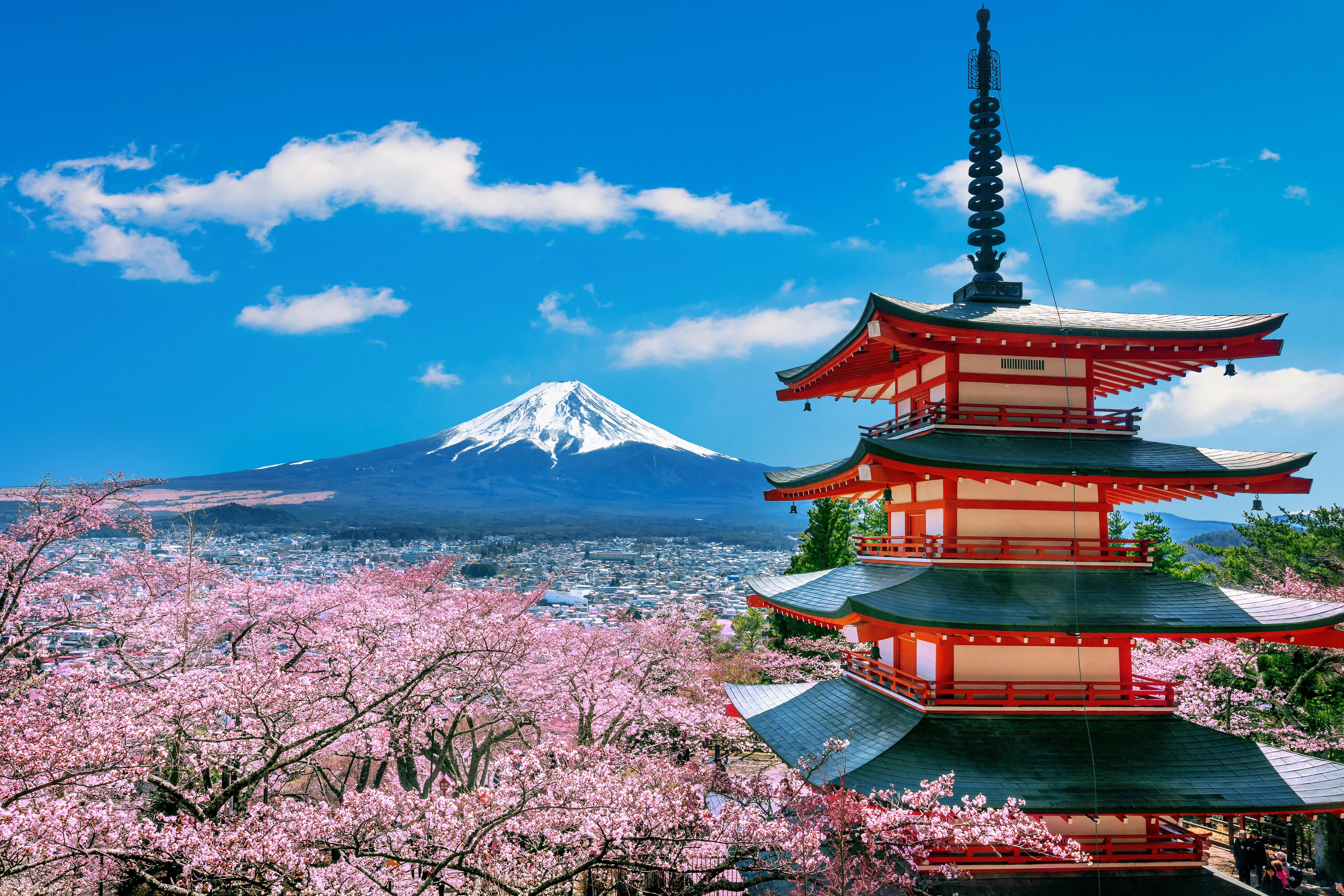cherry-blossoms-spring-chureito-pagoda-fuji-mountain-japan (1).webp